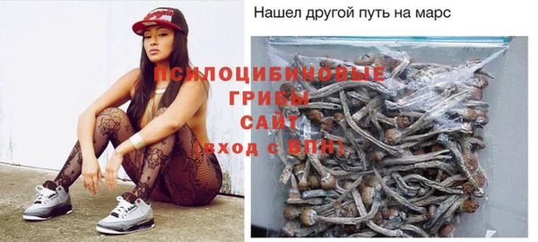 a pvp Алексеевка