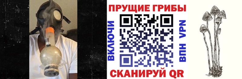Купить где  Красноярск  Псилоцибиновые грибы мухоморы 